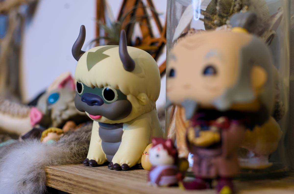 An Appa figurine on the studio shelf among other characters and dried plants.