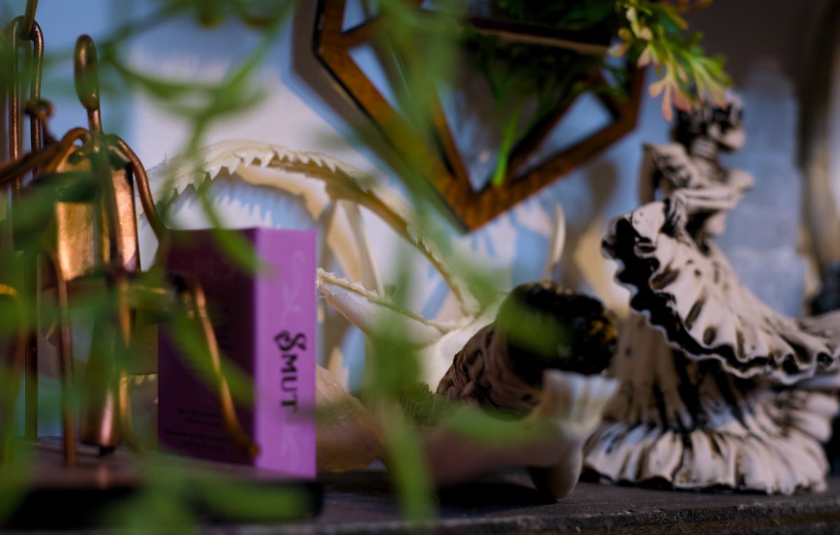 A book titled 'Smut' tucked among hanging plants, a shell sculpture, and a flamenco figurine on the studio shelves.